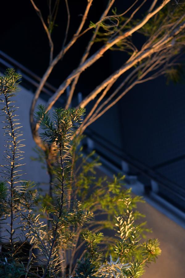 Resters Bed&Co. Kumamoto Exterior photo